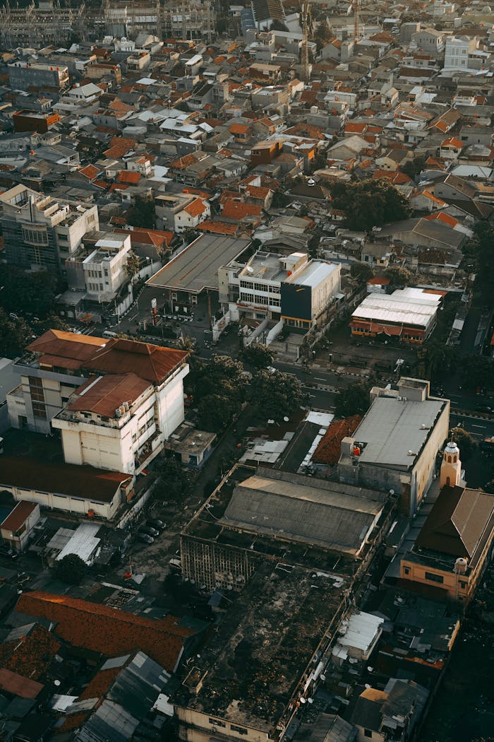 gallery-1 Aerial perspective of a densely populated urban area showcasing rooftops and buildings in an atmospheric setting.